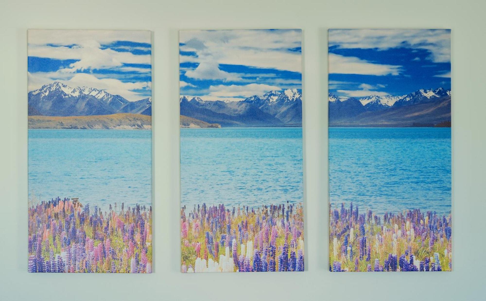 Kingfisher Lodge Lake Tekapo Oda fotoğraf